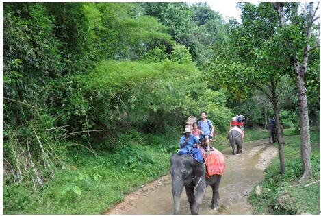 午夜精品射精入后重之免费观看