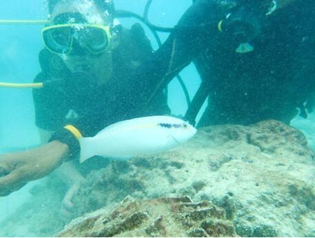 午夜精品射精入后重之免费观看