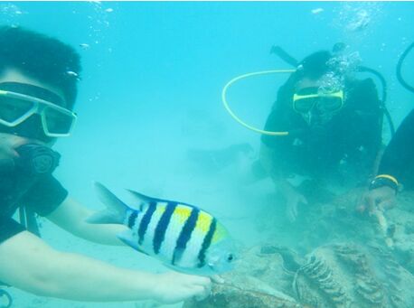 午夜精品射精入后重之免费观看