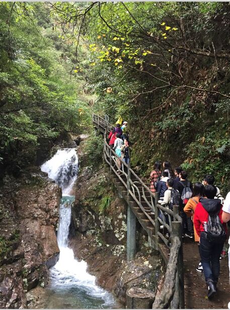 午夜精品射精入后重之免费观看