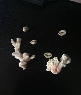 午夜精品射精入后重之免费观看