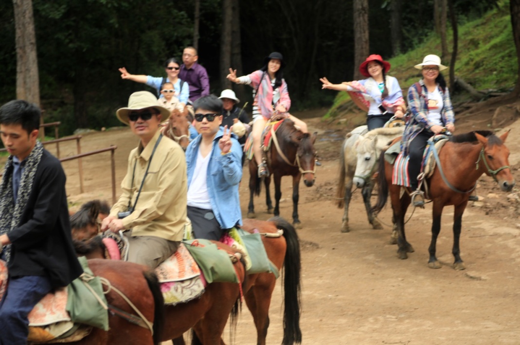 午夜精品射精入后重之免费观看