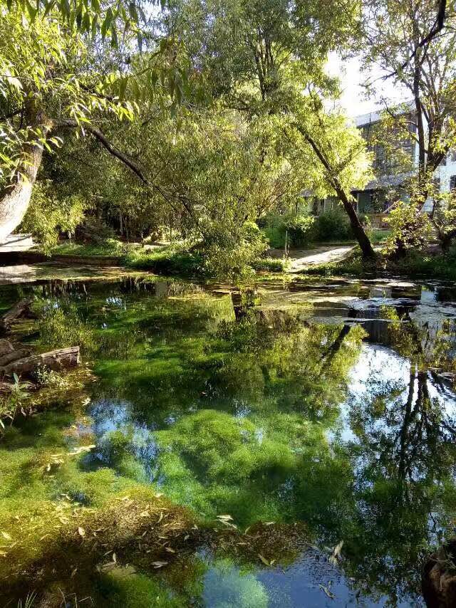 午夜精品射精入后重之免费观看