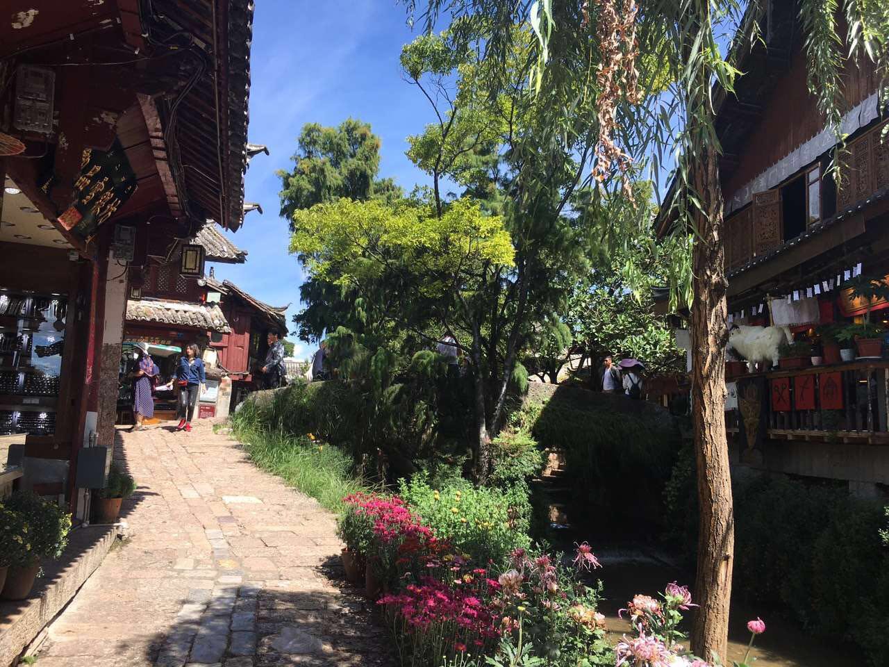 午夜精品射精入后重之免费观看