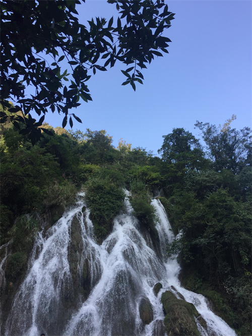 午夜精品射精入后重之免费观看