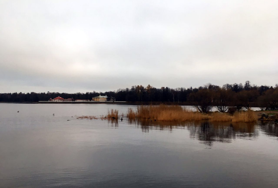 午夜精品射精入后重之免费观看