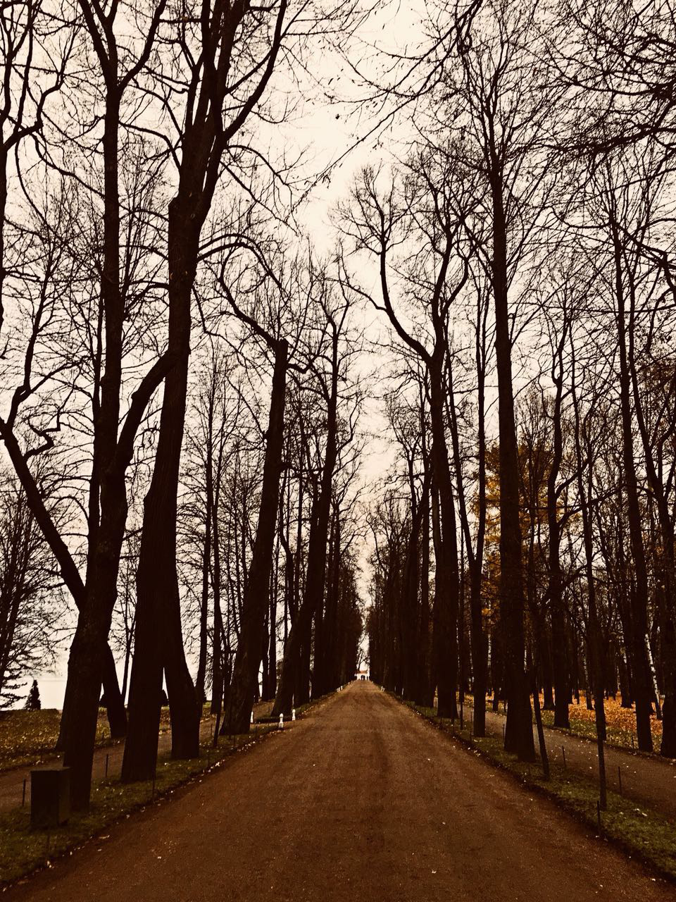 午夜精品射精入后重之免费观看