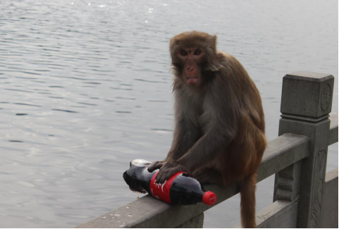 午夜精品射精入后重之免费观看