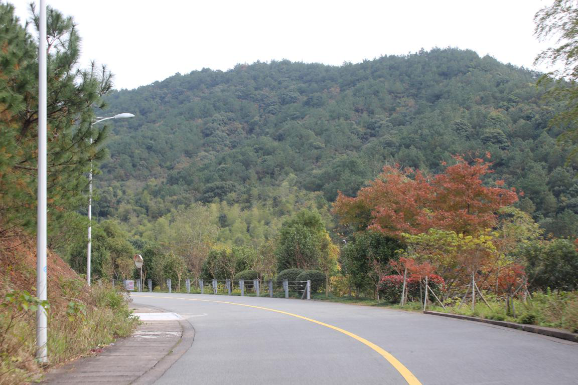 午夜精品射精入后重之免费观看