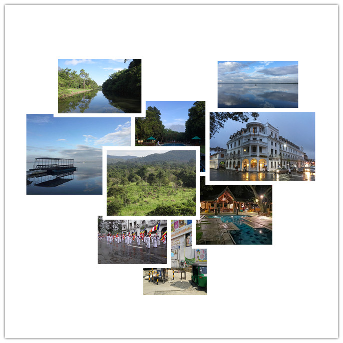 午夜精品射精入后重之免费观看