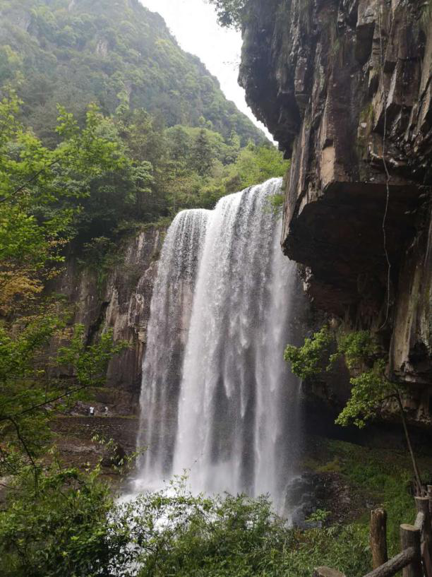 午夜精品射精入后重之免费观看