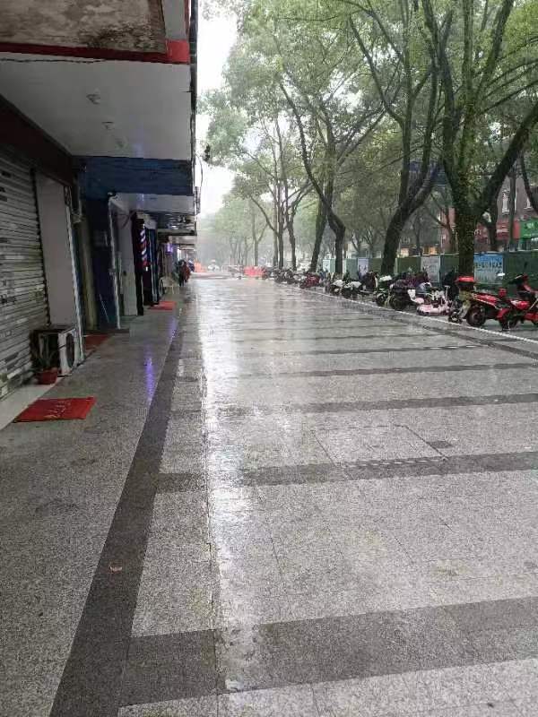 午夜精品射精入后重之免费观看