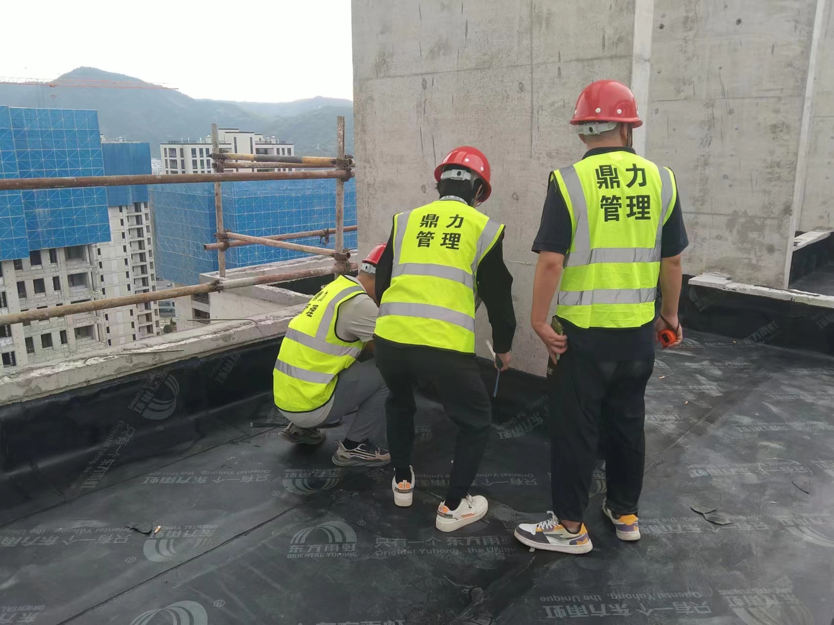 午夜精品射精入后重之免费观看