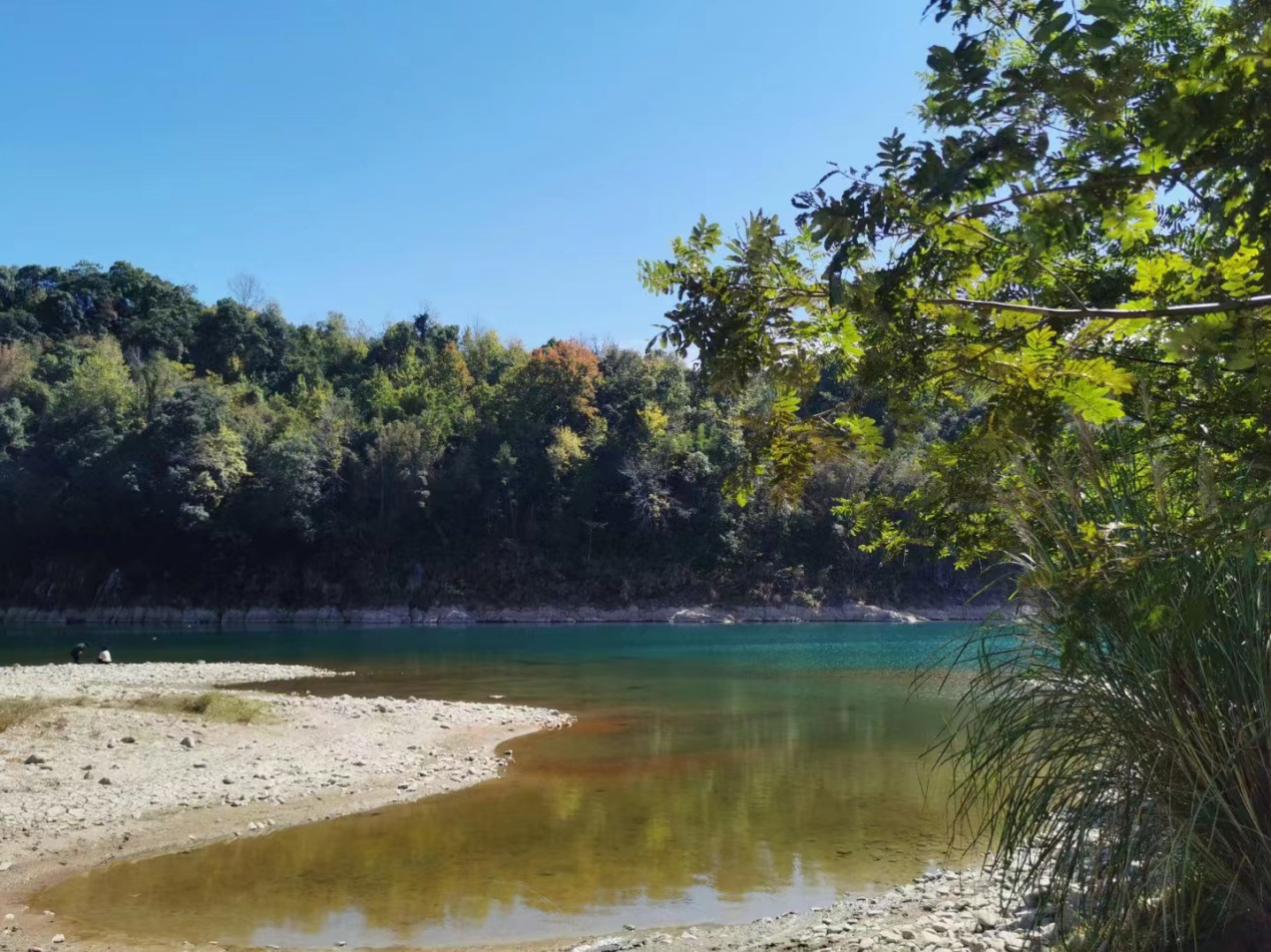 午夜精品射精入后重之免费观看