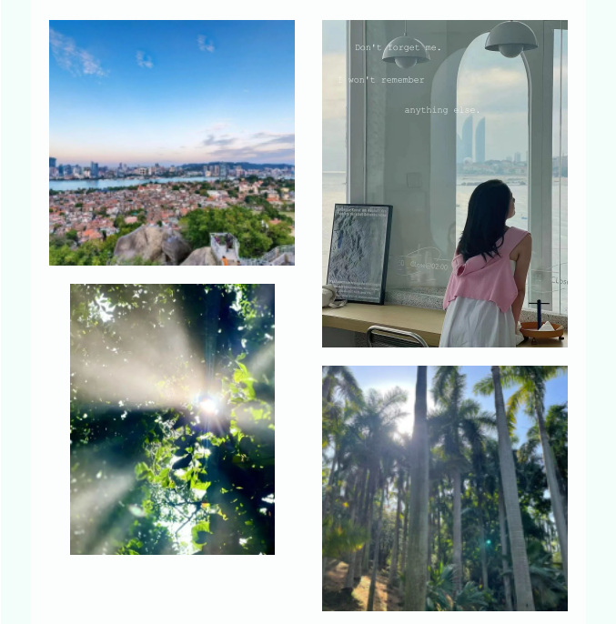 午夜精品射精入后重之免费观看